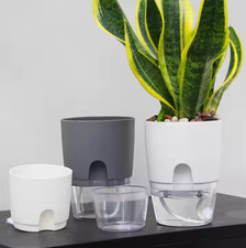 3er Set Blumentopf Kräutertopf Selbstbewässerung Pflanzentopf Kübel  Grau /15cm