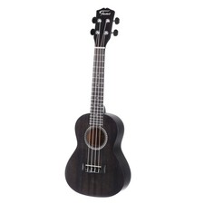Fame Deluxe Concert Ukulele