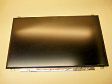 Display 17,3 Zoll aus einem Acer Predator Helios 300