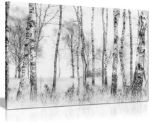Schwarz & Weiß Birkenbaumstämme Winter gerahmt Leinwanddruck Wandkunst Wohnkultur