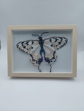 Schmetterling 15×10 Cm