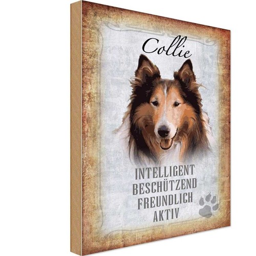Holzschild 30x20 collie - 30x20,
