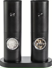 Elektrisches Salz und