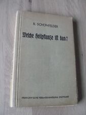 welche heilpflanze ist das schonfelder 1941