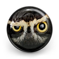 Bowling Ball OTB Crazy Owl