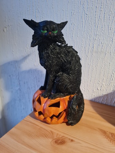 Halloween salem die katze - -,