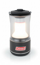 Coleman  Schwarz 2000033874