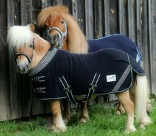 Abschwitzdecke Minishetty