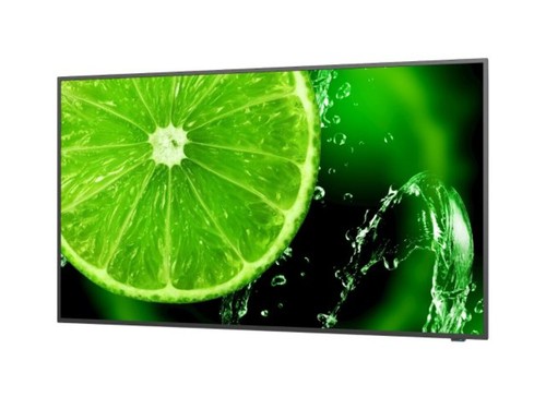 60006113 monitor nec - |,