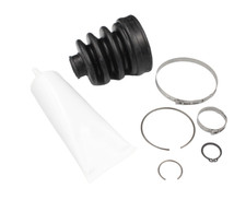 inneres vorderes Gelenk