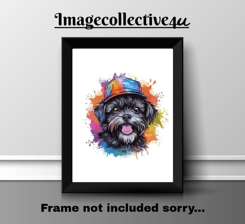 Affenpinscher haustier hund - hund, a4