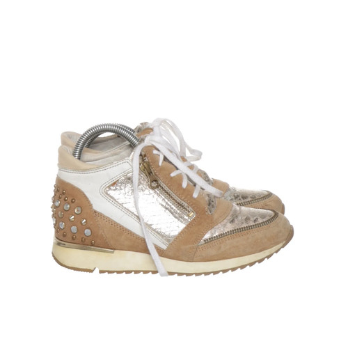 Woman sneaker - woman, sneaker,