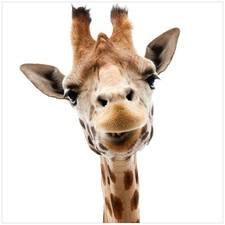 Wallario Glasplatte für Ikea