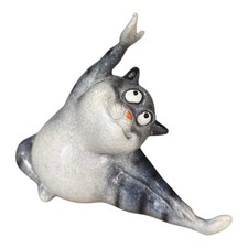 dicke Katze beim Sport Fitness