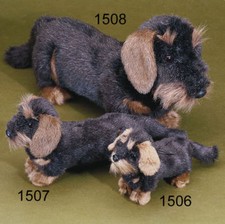 FÖRSTER   RAUHHAARDACKEL