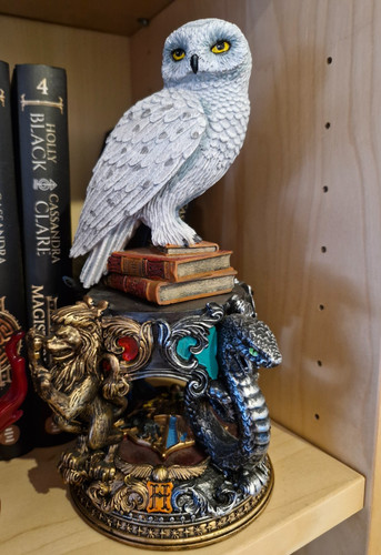 Harry potter hedwig - harry, |