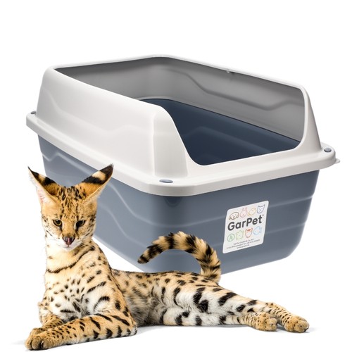 Xxl extra hohe katzentoilette - extra,