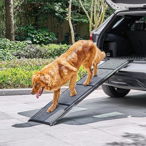 Hunderampe klappbar 170cm - klappbar,