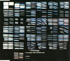 Transister Look Who'S Perfect Now (CD)