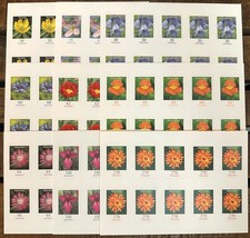 DEUTSCHLAND BLUMEN MARKENSETS SK FOLIENBLATT AUSWAHL 0,10€-2,70€ GERMANY FLOWERS