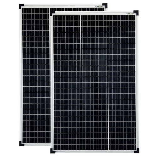 2x100 watt 36v mono - 2x100,