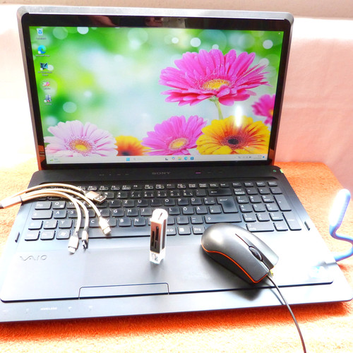 Sony vaio f23 premium zoll - vaio,