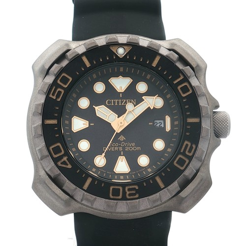 Hau citizen taucheruhr - citizen, pro