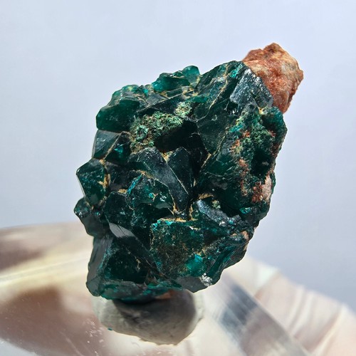 Seltene dioptas auf matrix - seltene,