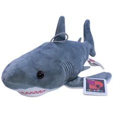 Morgenroth Großer weißer Hai