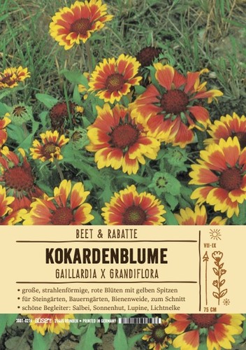 Gaillardia aristata granada - aristata, "granada"