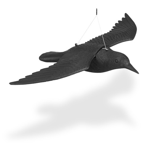 Taubenschreck krähen - 4x,