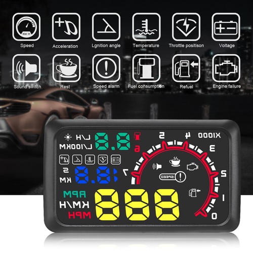 W02 head display film - head, 5,5