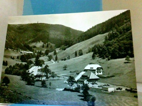 Todtnau fahl am feldberg - fahl,