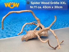 👋XXL Moorkien - Spiderwood