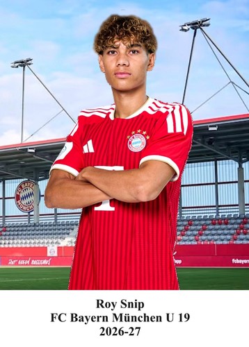 Roy snip autogrammkarte bayern - roy,