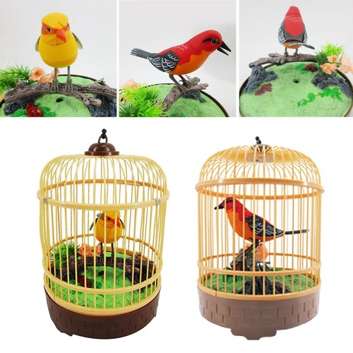 Zwitschernder vogel spielzeug - zwitschernder,