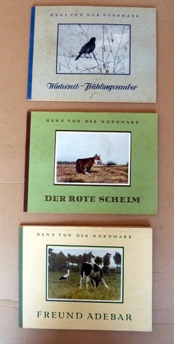 Sammelbilder alben rostock - 3,