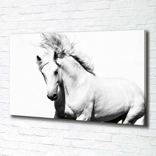 Leinwandbild kunst druck - leinwandbild, kunst-druck