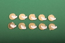 10x glückscent taubenpaar - 10x,