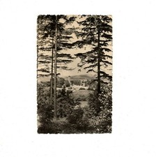 AK Ansichtskarte Sebnitz /