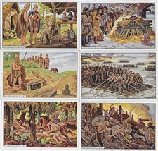 Sammelbilder Erdal Serie 123