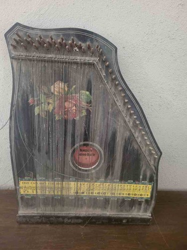 Alte zither konzert salon - konzert,