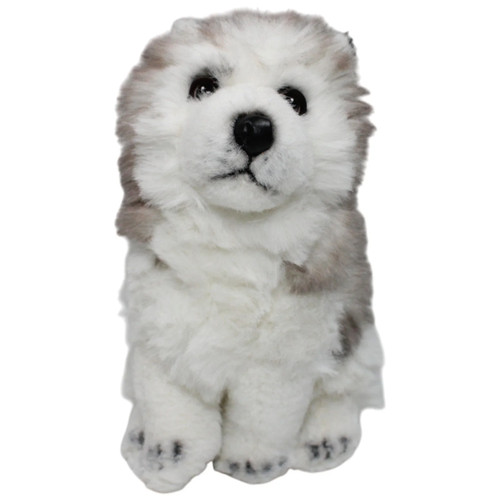 Eiszeit quell hund husky - hund,