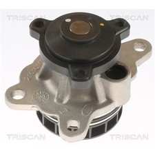 Triscan Wasserpumpe für Fiat
