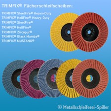 Eisenblätter TRIMFIX® Fächer Schleifscheibe, Schleifscheibe, Lamellenscheibe