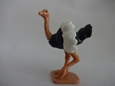 Ü-EI / 2013 - FT-008 - Tier Serie aus aller Welt / Struthio camelus ( Strauß )