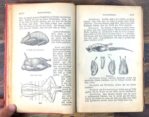 Regensburger kochbuch 1893 - regensburger,