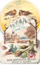 Glanzbilder - COR14105 - Große Herstellung Von Schuhe - Vögel - Haus - Neoi