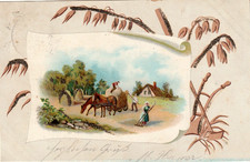1901 ackerbau - ak,