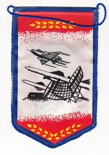 DDR NVA Wimpel LSK / LV ASV